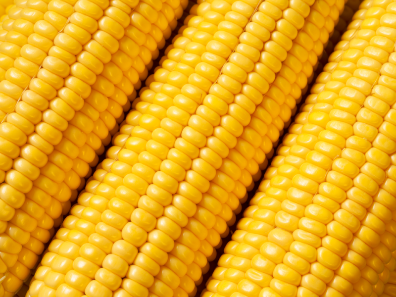 fresh-corn