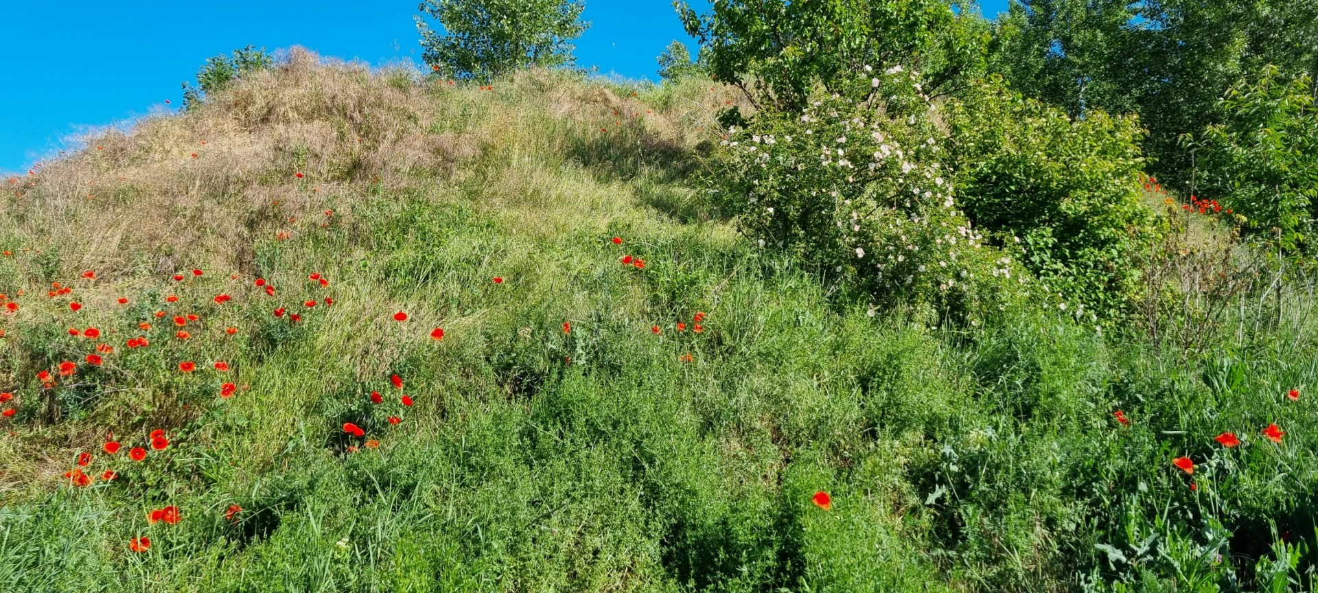 Biolandia’s roots in sustainability