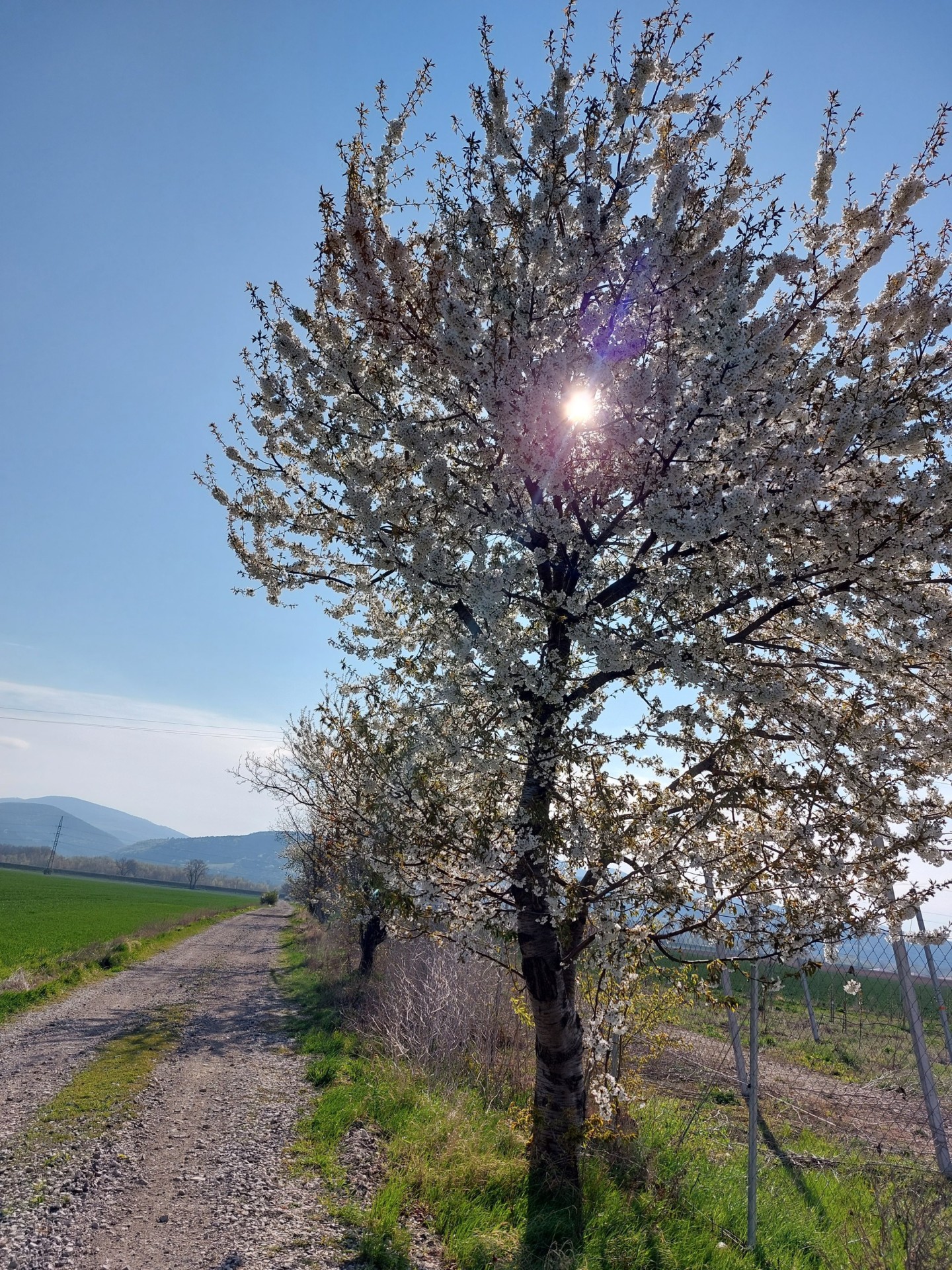 Biolandia’s roots in sustainability